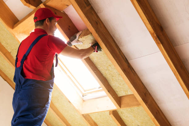 Eco-Friendly or Green Insulation Solutions in White Center, WA